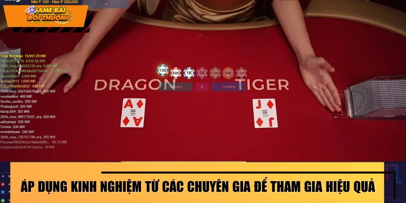 Áp dụng kinh nghiệm từ các chuyên gia để tham gia hiệu quả