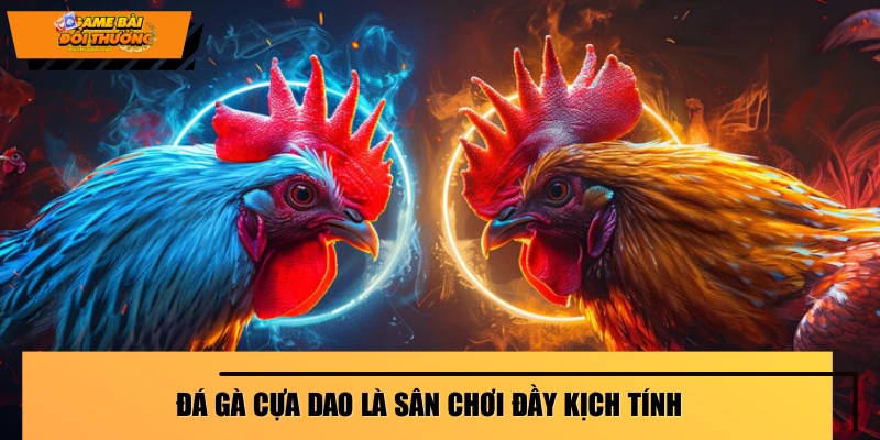 da-ga-cua-dao-la-san-choi-day-kich-tinh