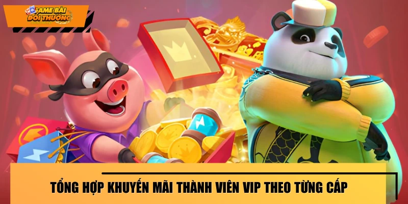 khuyen-mai-thanh-vien-vip-tong-hop