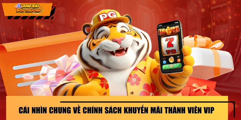 khuyen-mai-thanh-vien-vip-tong-quan