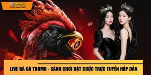 Live Đá Gà Thomo - Sảnh Chơi Đặt Cược Trực Tuyến Hấp Dẫn